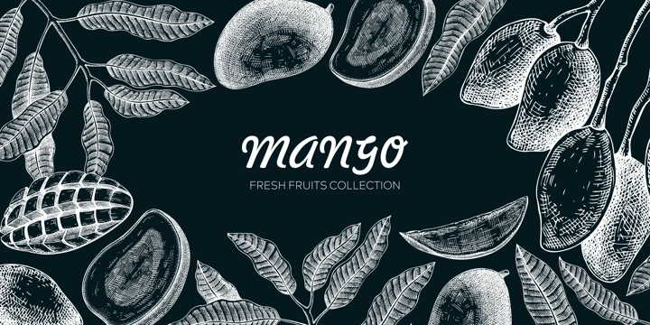 Mango background. Exotic fruit hand-drawn vector illustration. Mango fruit, tree branches, leaves sketches on chalkboard. Vintage frame, banner, juice packaging. Summer design element